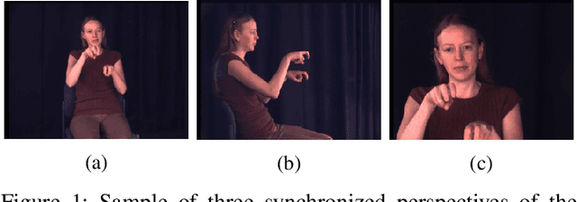 Figure 1 for ASL-Skeleton3D and ASL-Phono: Two Novel Datasets for the American Sign Language