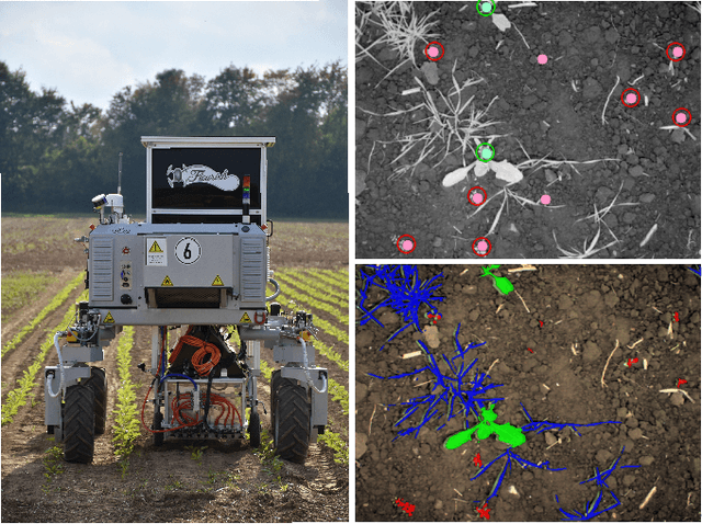 Figure 1 for Joint Stem Detection and Crop-Weed Classification for Plant-specific Treatment in Precision Farming
