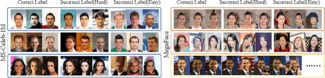Figure 1 for The Devil of Face Recognition is in the Noise