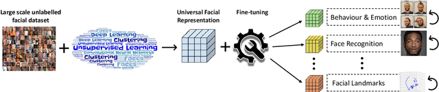Figure 1 for Pre-training strategies and datasets for facial representation learning