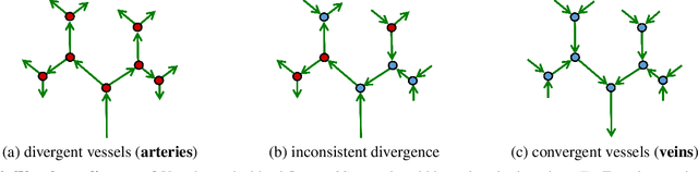 Figure 2 for Divergence Prior and Vessel-tree Reconstruction
