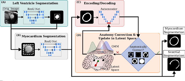 Figure 1 for Anatomically-Informed Deep Learning on Contrast-Enhanced Cardiac MRI for Scar Segmentation and Clinical Feature Extraction