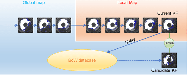 Figure 3 for Panoramic annular SLAM with loop closure and global optimization