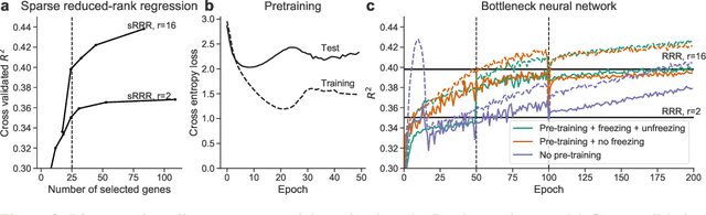 Figure 2 for Sparse Bottleneck Networks for Exploratory Analysis and Visualization of Neural Patch-seq Data