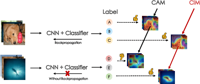 Figure 1 for CIM: Class-Irrelevant Mapping for Few-Shot Classification