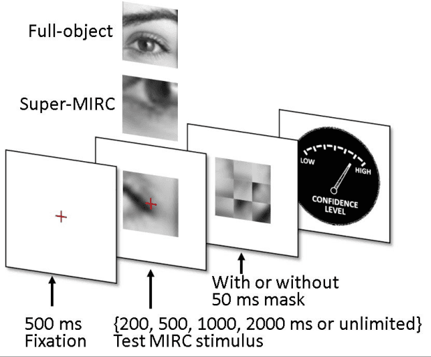 Figure 1 for What takes the brain so long: Object recognition at the level of minimal images develops for up to seconds of presentation time
