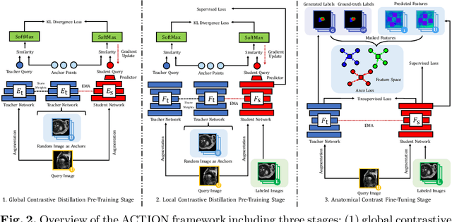 Figure 3 for Bootstrapping Semi-supervised Medical Image Segmentation with Anatomical-aware Contrastive Distillation