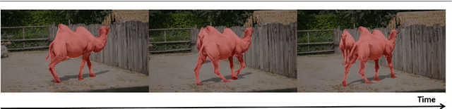 Figure 1 for Exploring the Semi-supervised Video Object Segmentation Problem from a Cyclic Perspective
