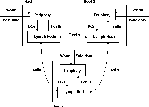 Figure 2 for Cooperative Automated Worm Response and Detection Immune Algorithm