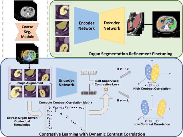 Figure 3 for Adaptive Contrastive Learning with Dynamic Correlation for Multi-Phase Organ Segmentation