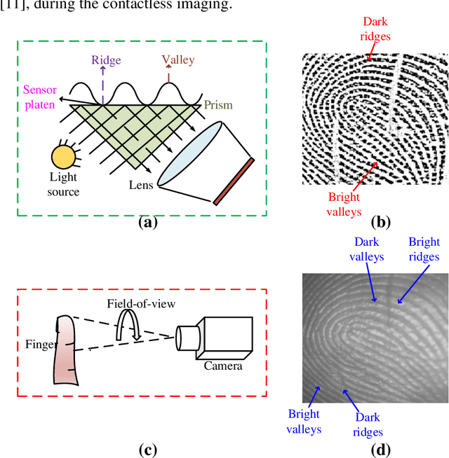Figure 1 for A Collaborative Approach using Ridge-Valley Minutiae for More Accurate Contactless Fingerprint Identification