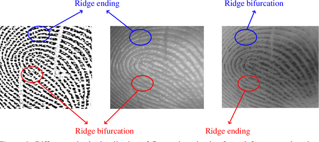 Figure 3 for A Collaborative Approach using Ridge-Valley Minutiae for More Accurate Contactless Fingerprint Identification