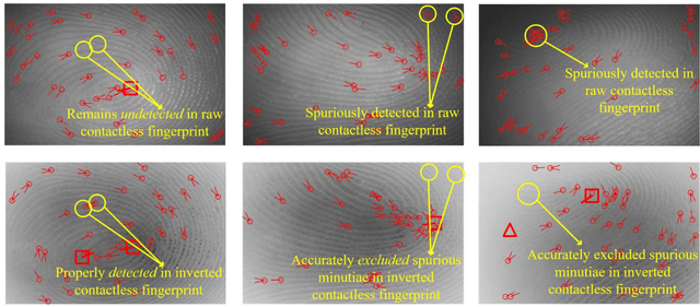 Figure 4 for A Collaborative Approach using Ridge-Valley Minutiae for More Accurate Contactless Fingerprint Identification