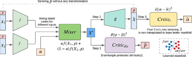 Figure 1 for Fair Representation Learning using Interpolation Enabled Disentanglement