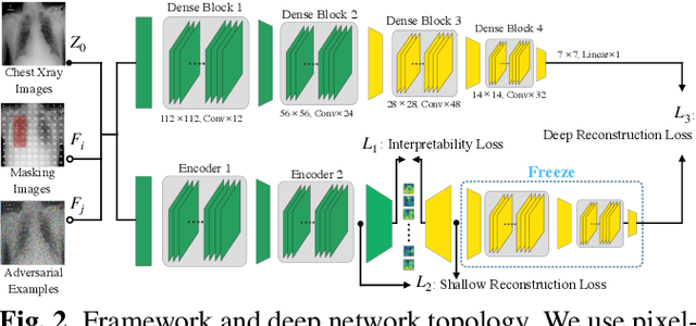 Figure 3 for When Causal Intervention Meets Image Masking and Adversarial Perturbation for Deep Neural Networks
