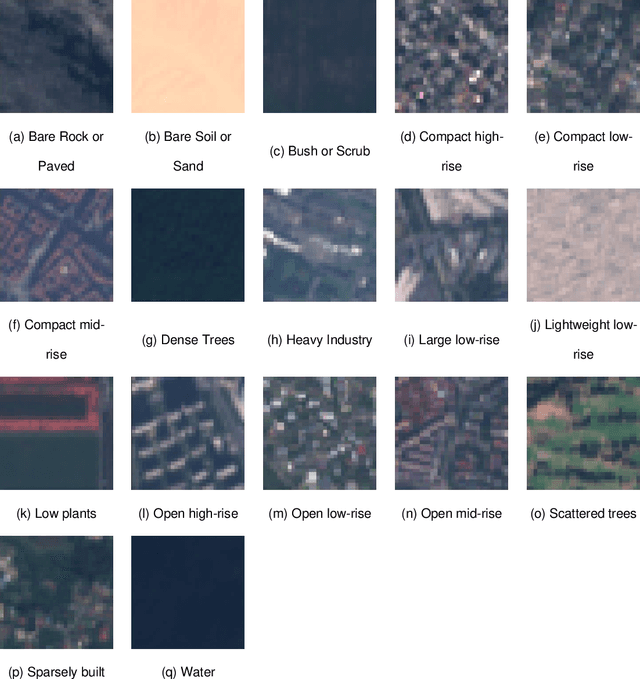 Figure 3 for 2-speed network ensemble for efficient classification of incremental land-use/land-cover satellite image chips