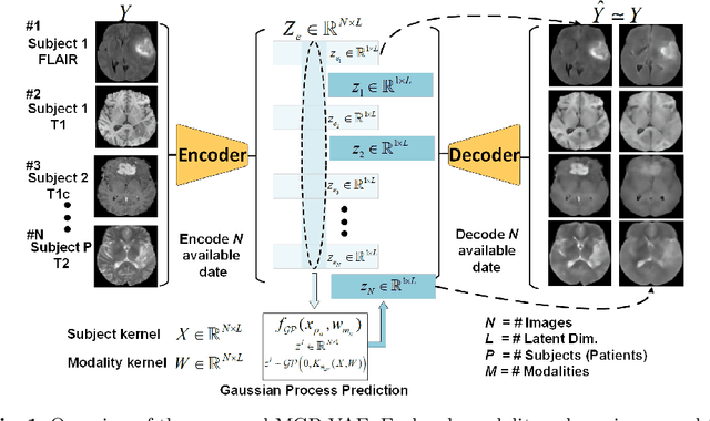 Figure 1 for Modality Completion via Gaussian Process Prior Variational Autoencoders for Multi-Modal Glioma Segmentation