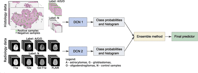 Figure 1 for Glioma Classification Using Multimodal Radiology and Histology Data