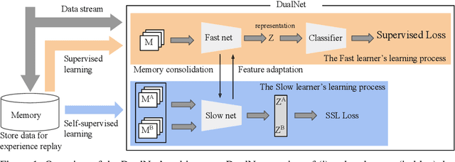 Figure 1 for DualNet: Continual Learning, Fast and Slow