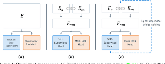 Figure 1 for Self-Supervised Dynamic Networks for Covariate Shift Robustness