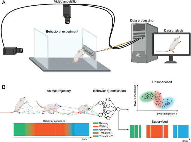Figure 1 for Open-Source Tools for Behavioral Video Analysis: Setup, Methods, and Development
