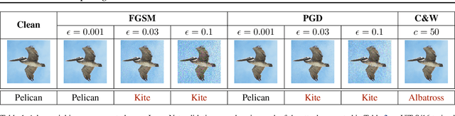 Figure 1 for Exploring Adversarial Attacks and Defenses in Vision Transformers trained with DINO