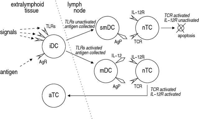 Figure 1 for Detecting Anomalous Process Behaviour using Second Generation Artificial Immune Systems