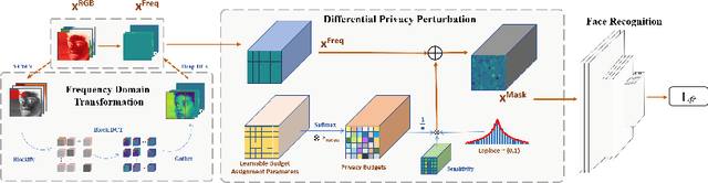 Figure 3 for Privacy-Preserving Face Recognition with Learnable Privacy Budgets in Frequency Domain