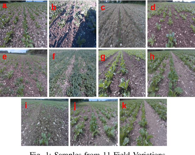 Figure 1 for Vision based Crop Row Navigation under Varying Field Conditions in Arable Fields
