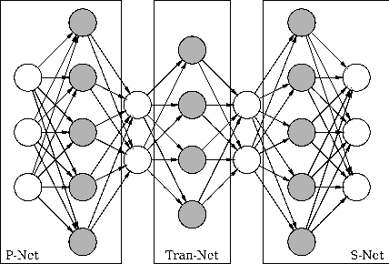 Figure 2 for Neural Network Based Nonlinear Weighted Finite Automata