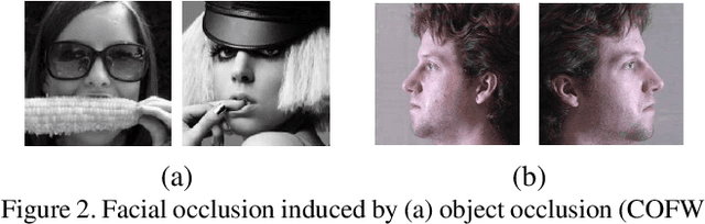 Figure 3 for Simultaneous Facial Landmark Detection, Pose and Deformation Estimation under Facial Occlusion