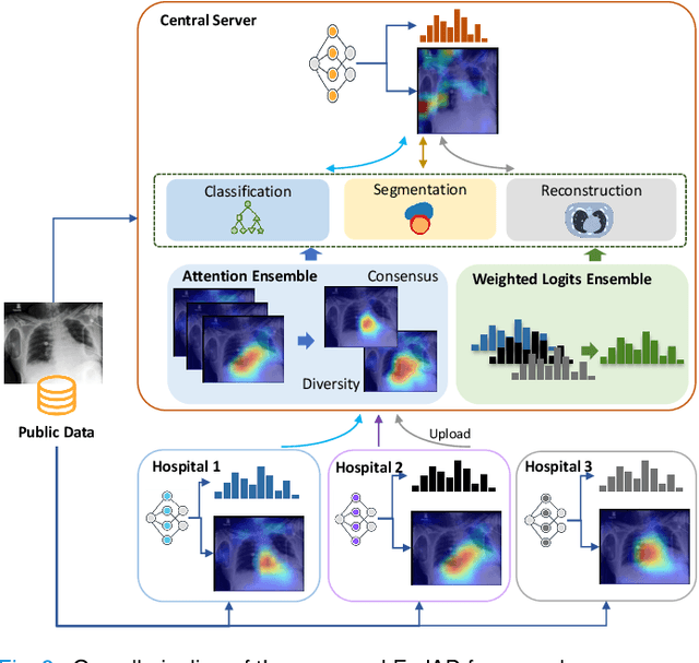 Figure 2 for Federated Learning with Privacy-Preserving Ensemble Attention Distillation