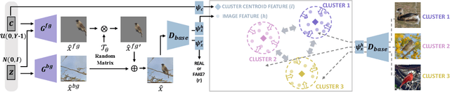 Figure 3 for Contrastive Fine-grained Class Clustering via Generative Adversarial Networks