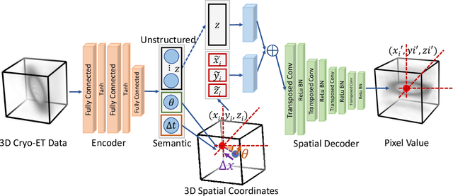 Figure 1 for Disentangling semantic features of macromolecules in Cryo-Electron Tomography