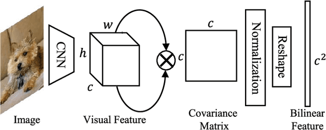 Figure 1 for Multi-Objective Matrix Normalization for Fine-grained Visual Recognition