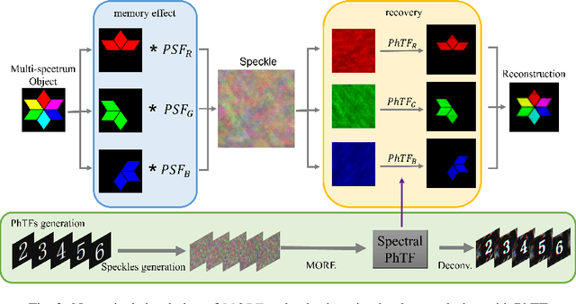 Figure 2 for Non-invasive color imaging through scattering medium under broadband illumination