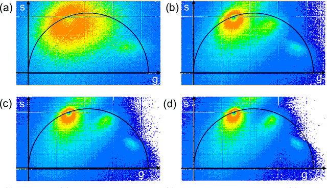 Figure 4 for Convolutional Neural Network Denoising in Fluorescence Lifetime Imaging Microscopy (FLIM)