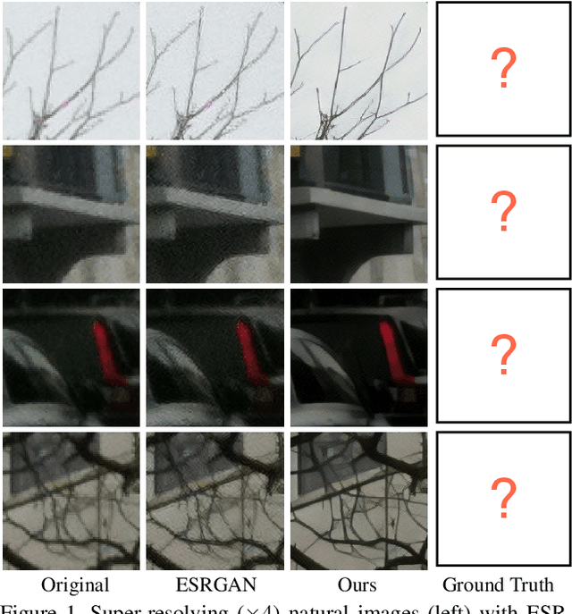 Figure 1 for Unsupervised Learning for Real-World Super-Resolution