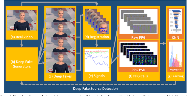 Figure 1 for How Do the Hearts of Deep Fakes Beat? Deep Fake Source Detection via Interpreting Residuals with Biological Signals