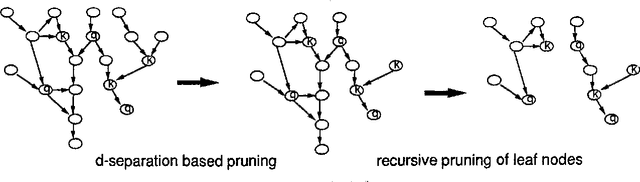 Figure 1 for Pruning Bayesian Networks for Efficient Computation