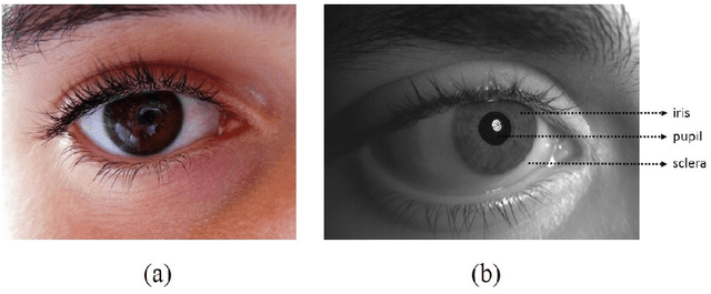 Figure 2 for Image based Eye Gaze Tracking and its Applications