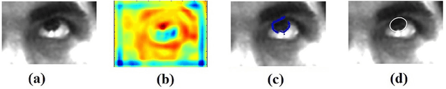 Figure 4 for Image based Eye Gaze Tracking and its Applications