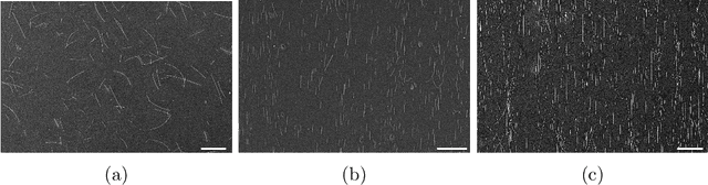 Figure 1 for Automated quantification of one-dimensional nanostructure alignment on surfaces