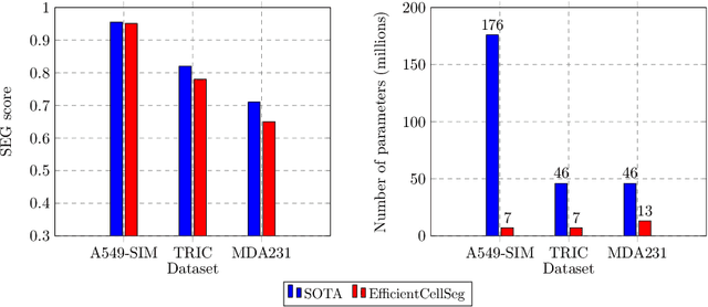Figure 1 for EfficientCellSeg: Efficient Volumetric Cell Segmentation Using Context Aware Pseudocoloring