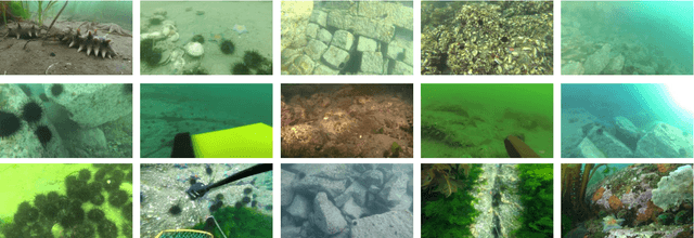 Figure 2 for A Dataset And Benchmark Of Underwater Object Detection For Robot Picking