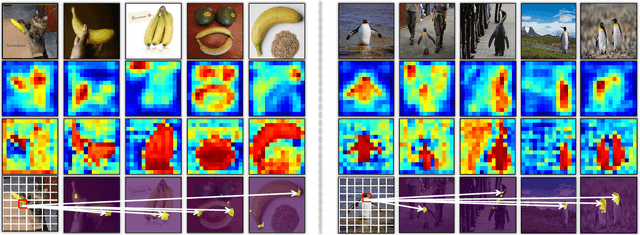Figure 4 for A Unified Transformer Framework for Group-based Segmentation: Co-Segmentation, Co-Saliency Detection and Video Salient Object Detection