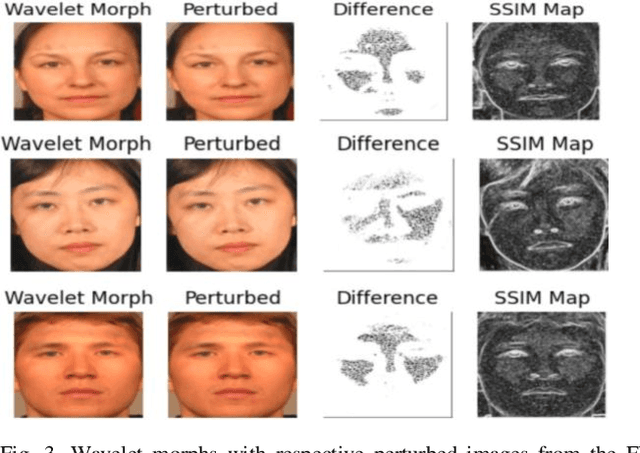 Figure 3 for Adversarially Perturbed Wavelet-based Morphed Face Generation