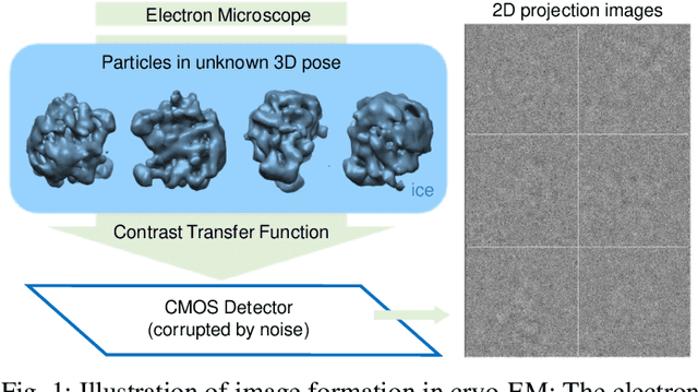 Figure 1 for Cryo-Electron Microscopy Image Analysis Using Multi-Frequency Vector Diffusion Maps