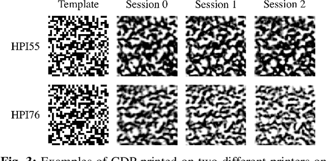 Figure 4 for Printing variability of copy detection patterns