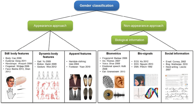 Figure 2 for Human Gender Classification: A Review
